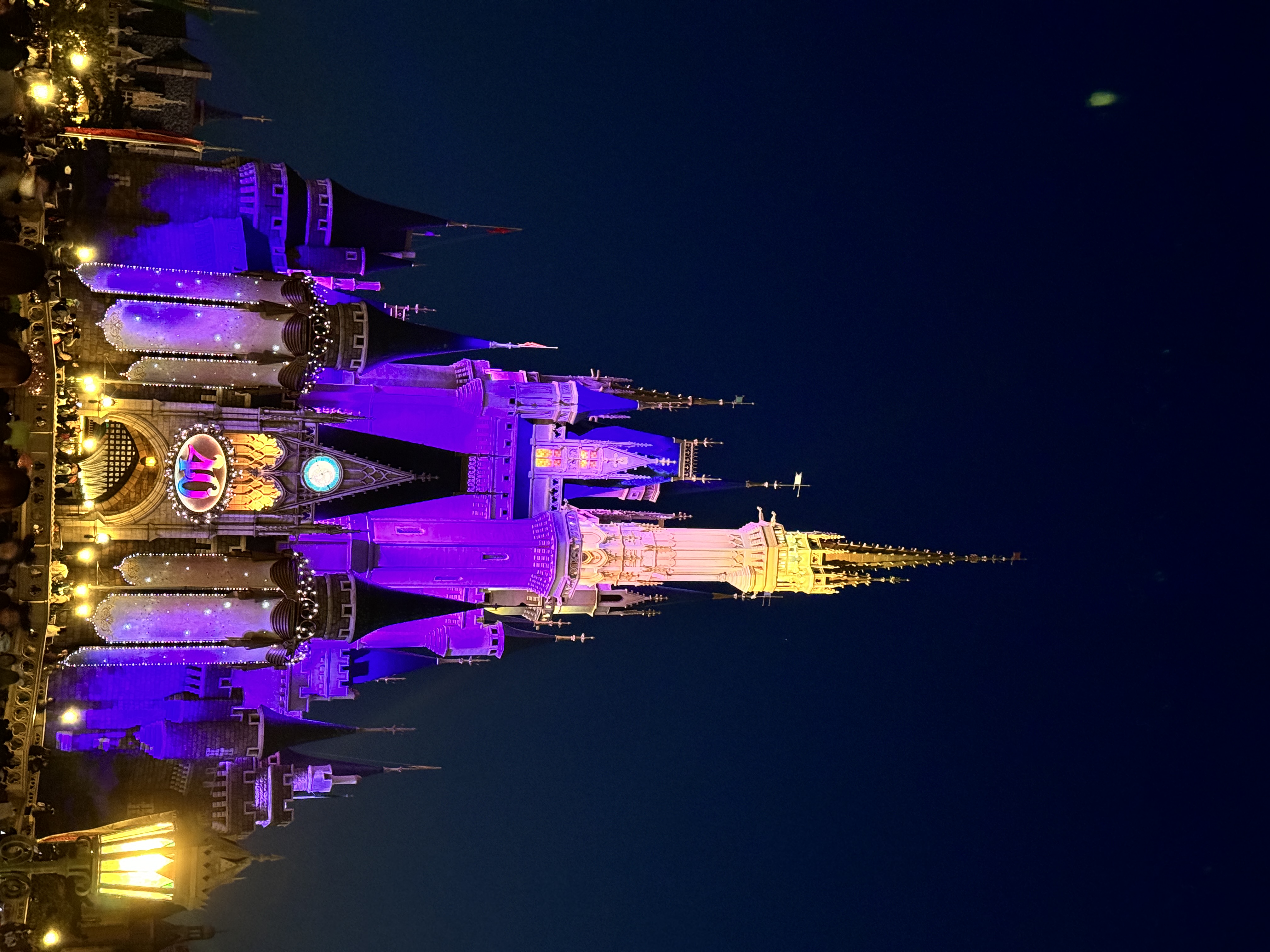Tokyo Disneyland castle night