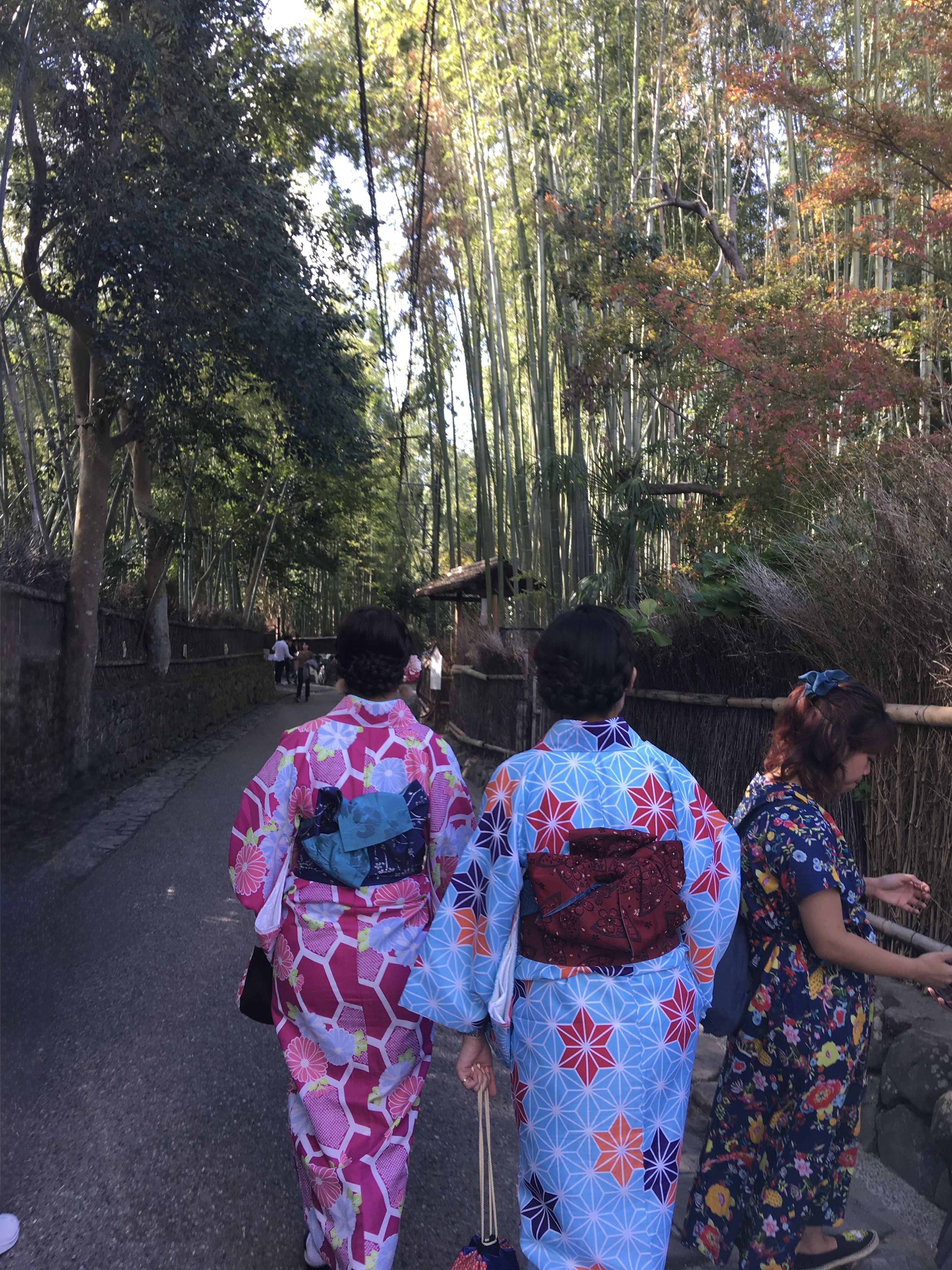 Kimono walkers at Arashiyama bamboo forest