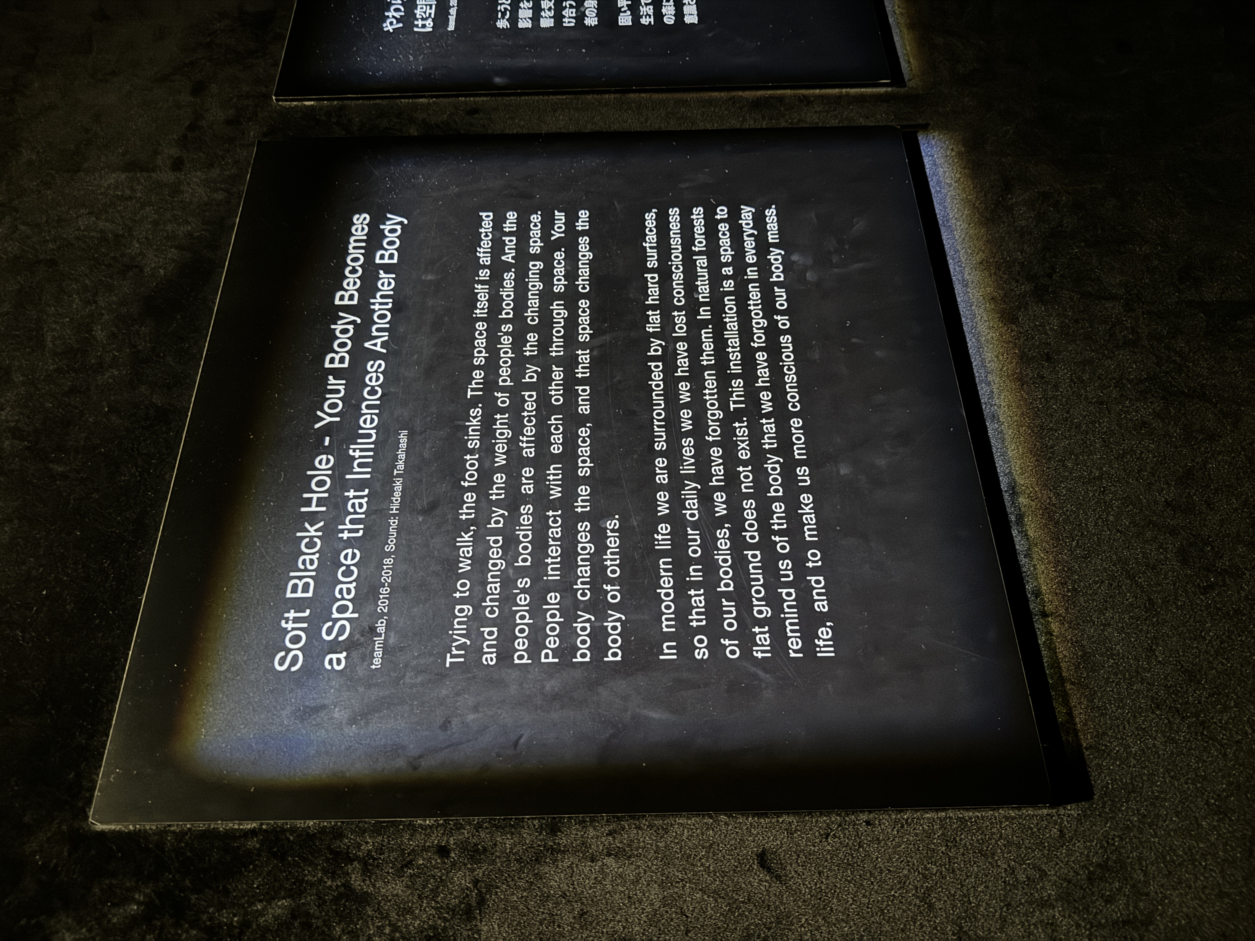 Team Labs Borderless Tokyo