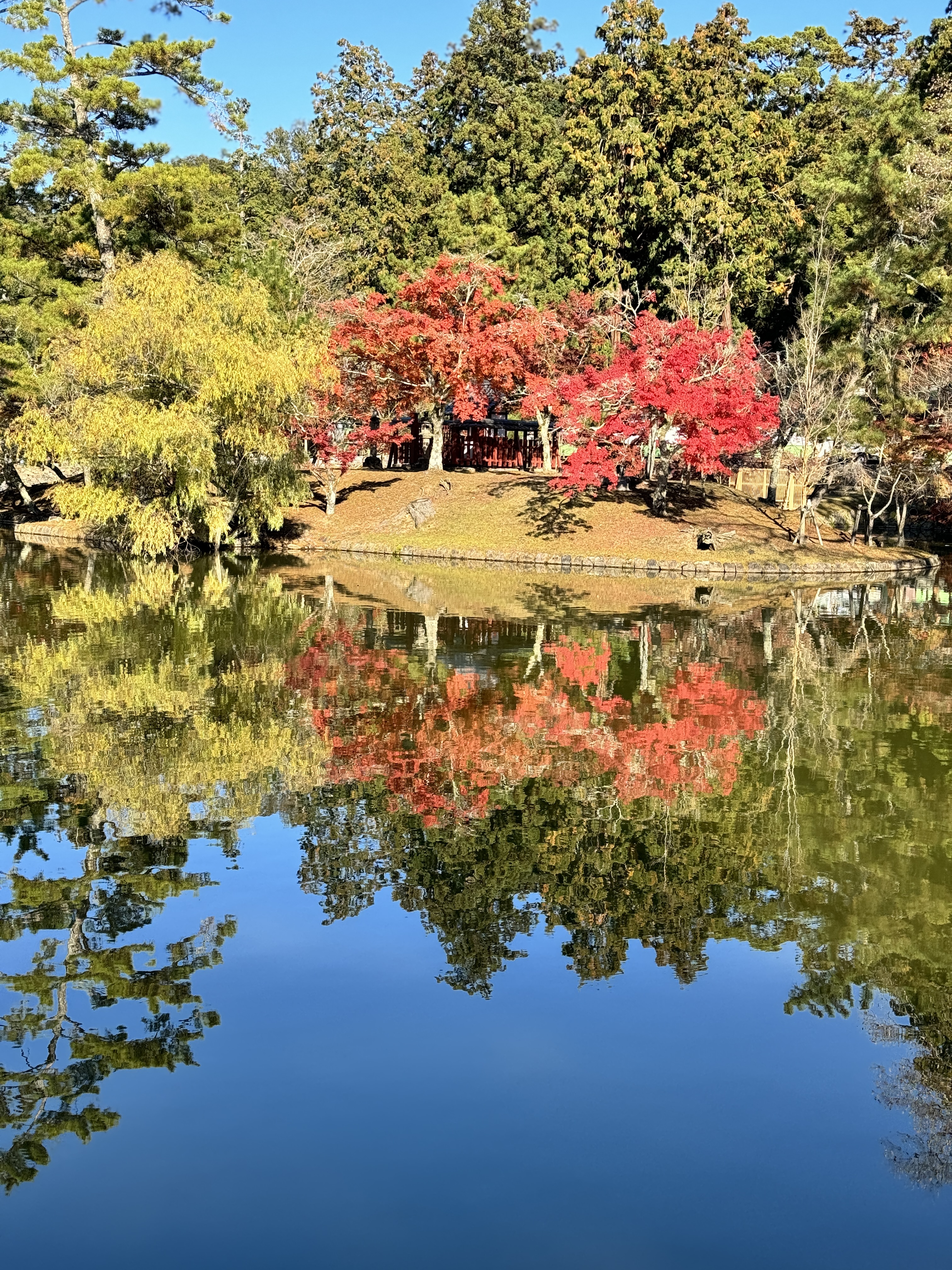 Autumn reflection Nara pond